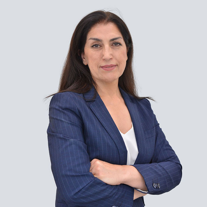 Dr. Faranak Nowbakht, Psychologist, Assessments